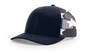 Navy/Stars and Stripes preview color